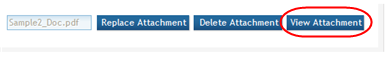 Sample attached file is shown with Replace Attachment, Delete Attachment, and View Attachment buttons. View Attachment button is showcased.