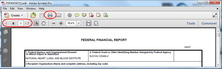 Sample (top portion only) of Federal Financial Report in PDF format highlighting navigation and print tools