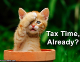 Tax time already?