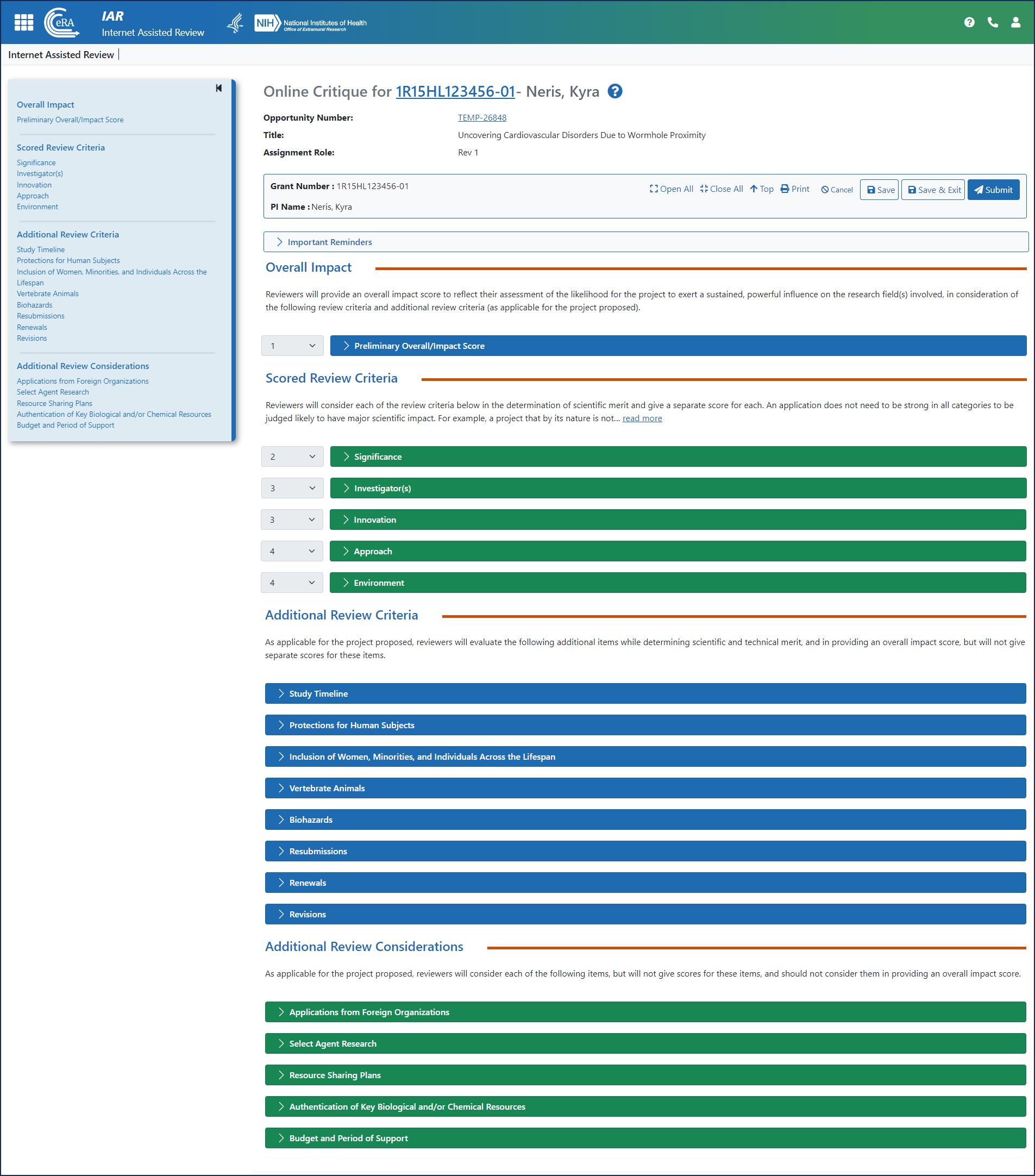 Figure 3: The Online Critique screen